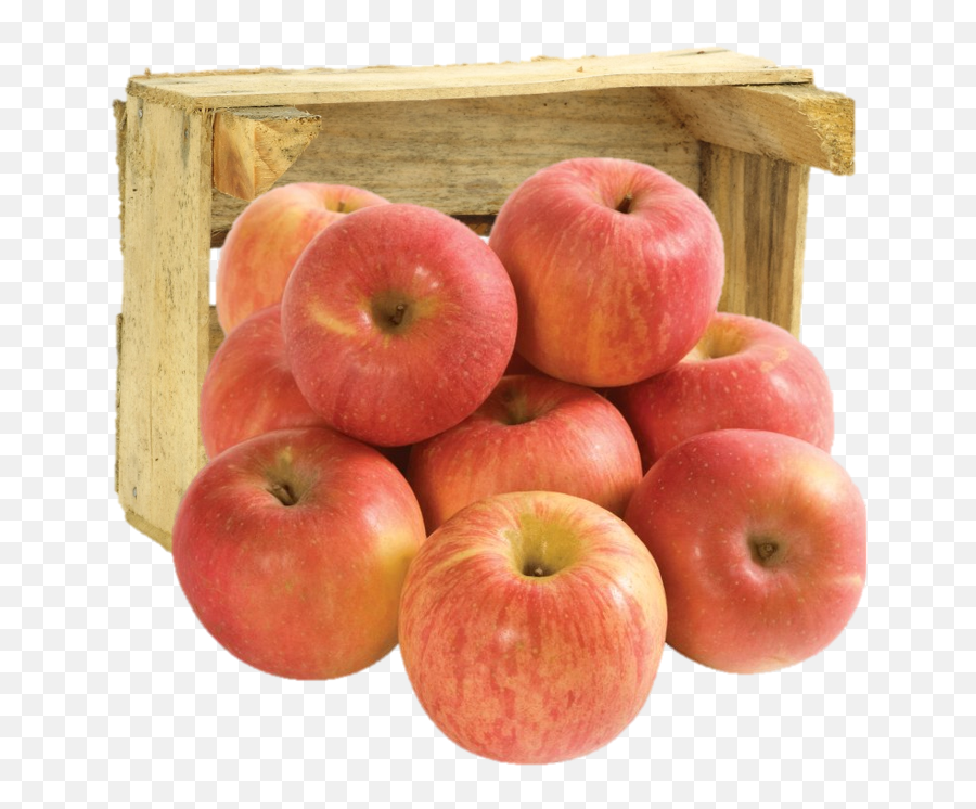 Fuji Apples Sweet - How To Cook Food From Different Countries Emoji,Appleguide Dog Emojis
