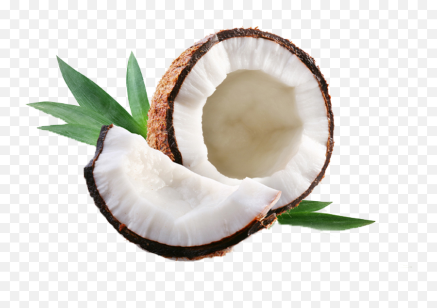 Coco Fruta Png High - Quality Image Png Arts Coconut Oil Bottle Png Emoji,Emojis Frutas