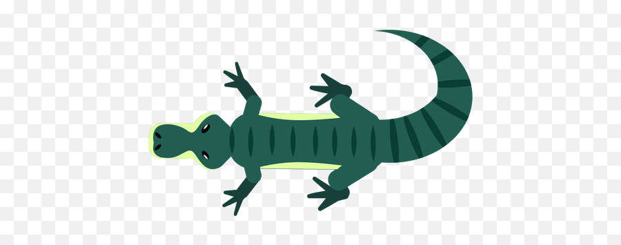 Crocodile Png U0026 Svg Transparent Background To Download - Animal Figure Emoji,Gator Emoji Free