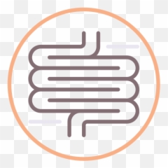 Curso Grande Limpeza Gastrointestinal - Bedding Icon Emoji,Emoticons Fezes