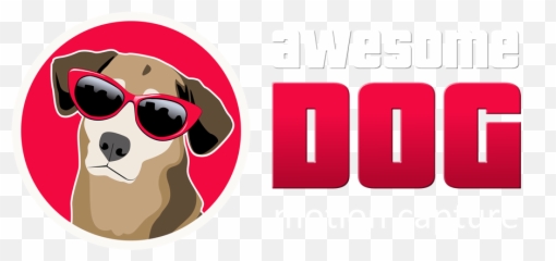 Awesome Dog Mocap - 3d Character Animation Full Rim Emoji,Dogs Emotions