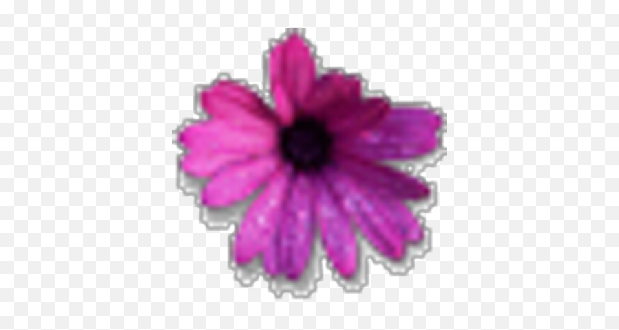 Heidi Anhalt Runrgrl26 Twitter Emoji,Mothers Day Bouquet Flowers Emoji