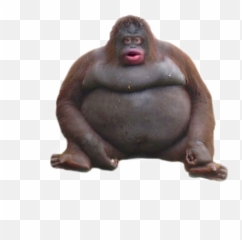 Uhohstinky Uhoh Stinky Idol Meme - Le Monke Vs Big Chungus Emoji,Harambe Emoji