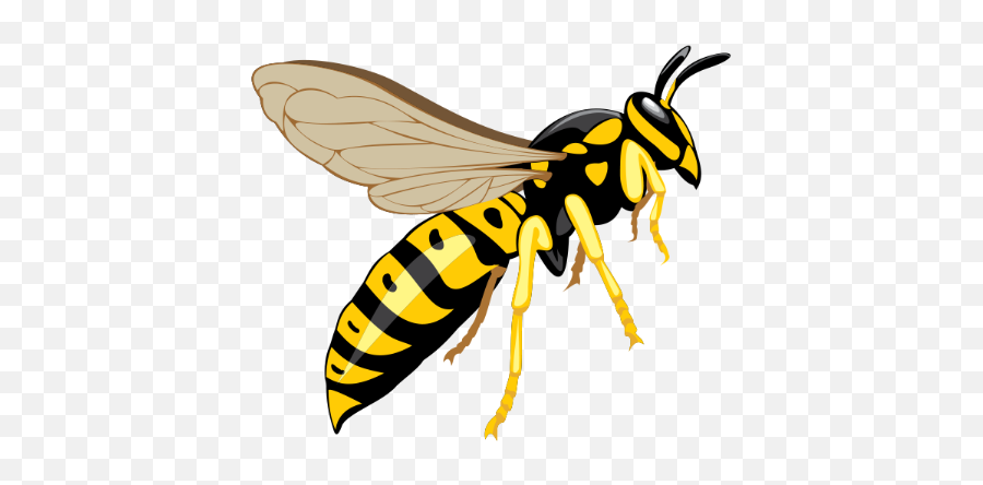 Flying Wasp Png High - Quality Image Png Arts Emoji,Wasp Emoji