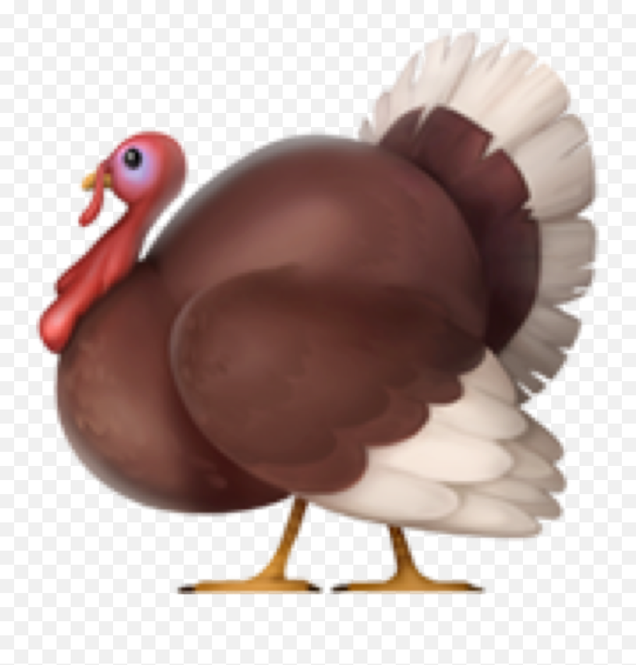 Turkey Emoji Free Download Ios Emojis - Iphone Turkey Emoji,Bird Emoji