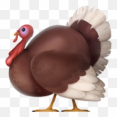 Turkey Emoji Free Download Ios Emojis - Iphone Turkey Emoji,Bird Emoji