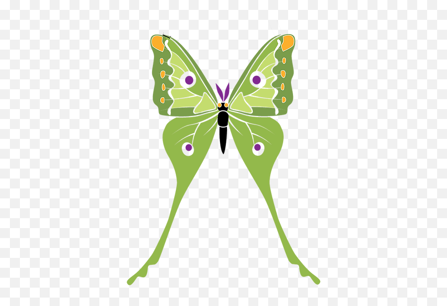 Our Mission Wwwlunarun5kcom - Girly Emoji,Can Luna Moths Feel Emotions