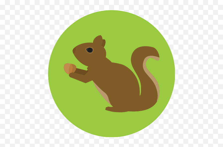 Squirrel Svg Vectors And Icons - Png Repo Free Png Icons Squirrel Icon Emoji,Squirrel Emoticon