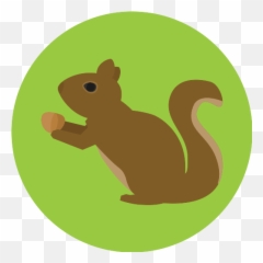 Squirrel Svg Vectors And Icons - Png Repo Free Png Icons Squirrel Icon Emoji,Squirrel Emoticon