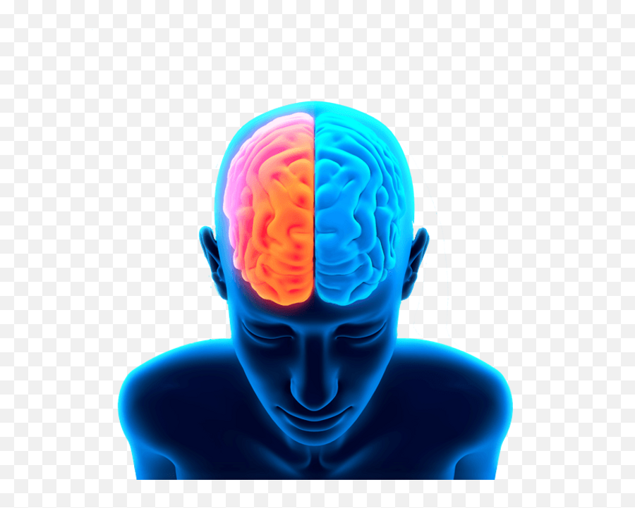 Brain Png Image - Transparent Human Brain Png Emoji,Big Brain Emoji