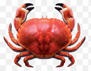Gifs - Get The Best Gif On Giphy Crab Png Hd Emoji,Banghead Emoticon
