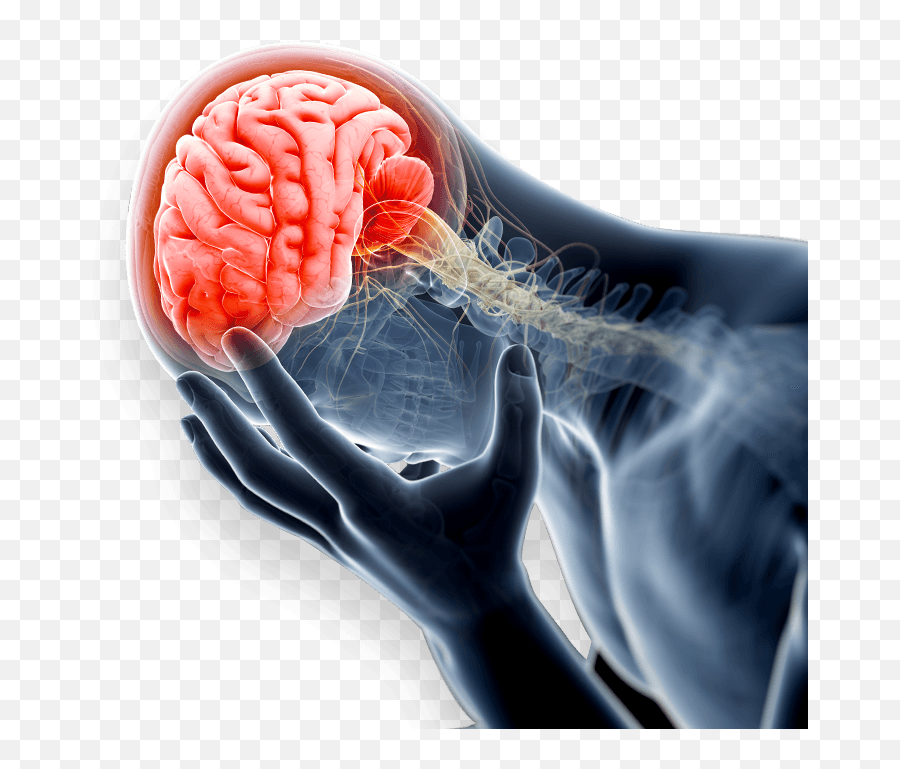 Traumatic Brain Injury Lawyer - Salt Lake City Ut Provo Ut Rage Brain Emoji,Feelings And Emotions Pastry Salt Lake