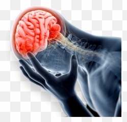 Traumatic Brain Injury Lawyer - Salt Lake City Ut Provo Ut Rage Brain Emoji,Feelings And Emotions Pastry Salt Lake