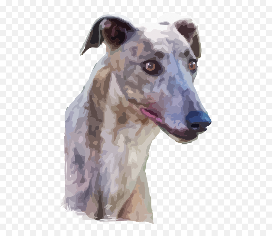 Drawing Realistic Public Domain Image Search - Freeimg Emoji,Greyhound Emojis