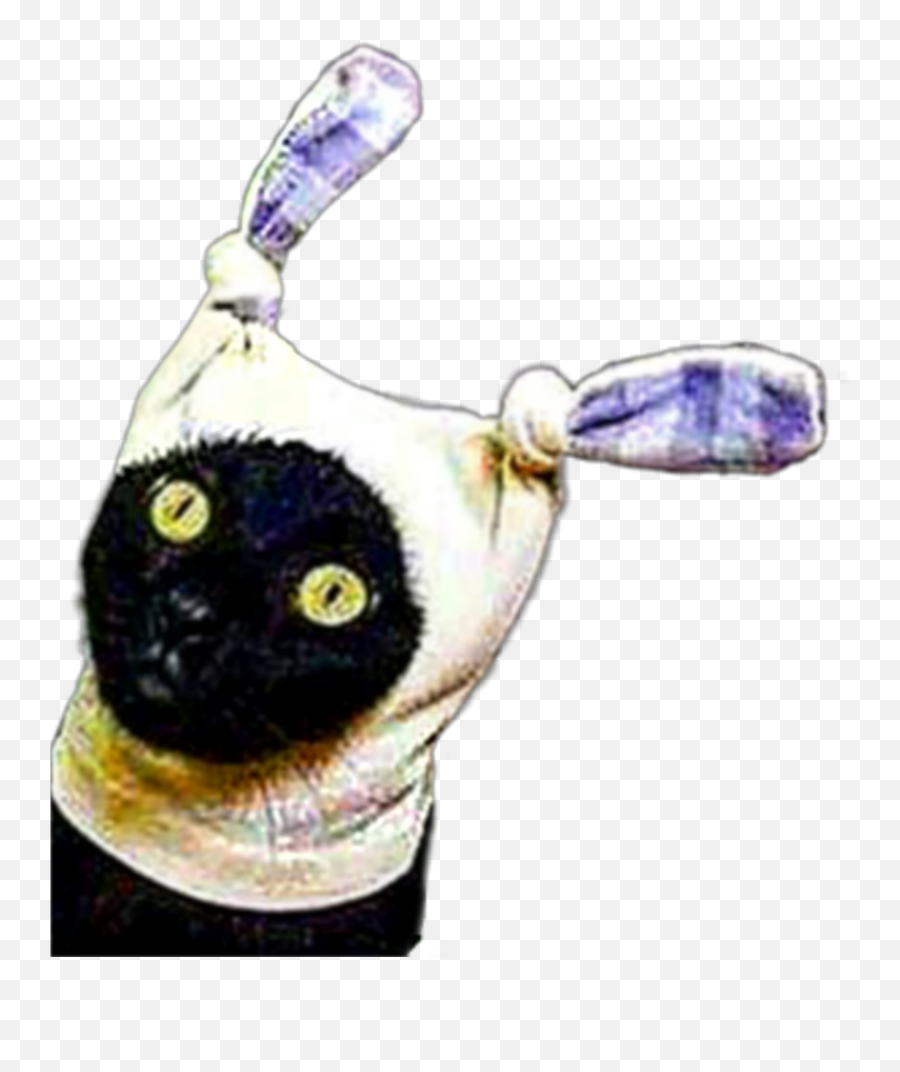 Feline Kitty Cat Hat Silly Sticker - Soft Emoji,Cat In The Hat Emoji