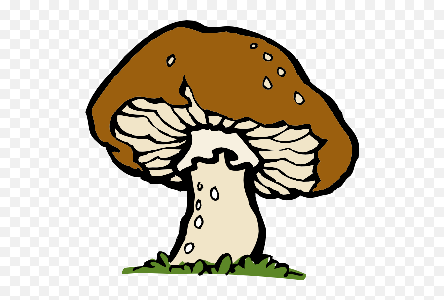 Library Of Free Mushroom Graphic Transparent Download Png - Fungi Clipart Emoji,Mushrooms Emoji