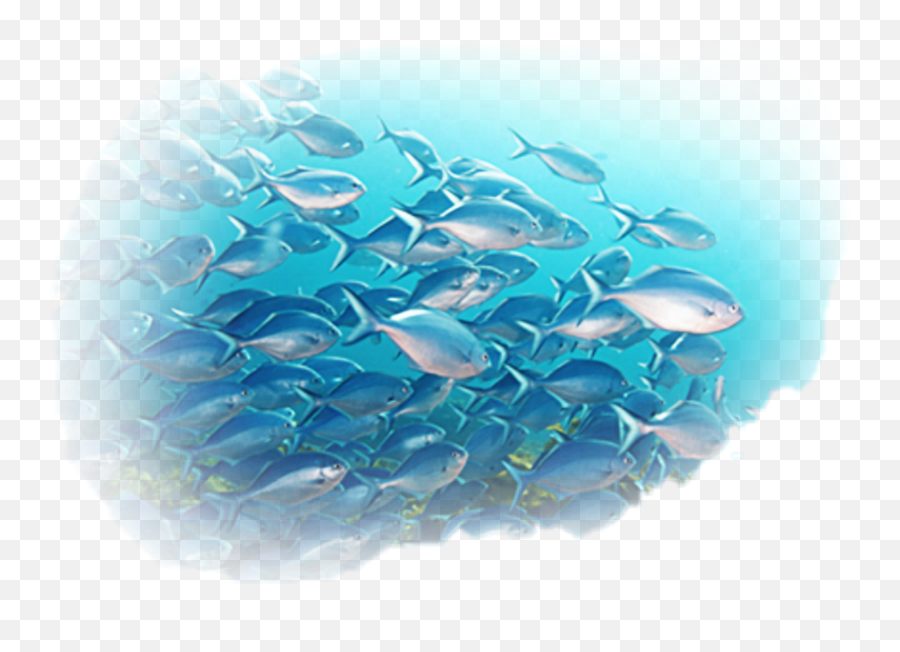 Mq Fish Water Swiming Animal Animals Sticker By Marras - Dot Emoji,Swiming Emoji