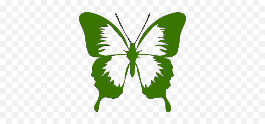10 Free Butterfly Icon U0026 Butterfly Vectors - Pixabay White And Green Butterfly Emoji,Butterfly Emoji Png