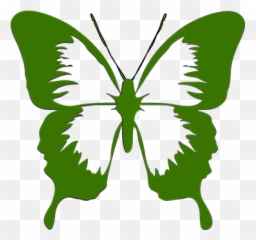 10 Free Butterfly Icon U0026 Butterfly Vectors - Pixabay White And Green Butterfly Emoji,Butterfly Emoji Png