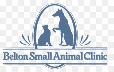 Spay And Neuter For Dogs And Cats In Belton Tx Belton - Language Emoji,Neutered Dog Emoticons