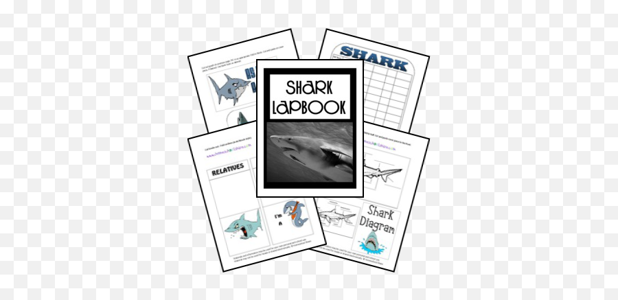 28 Shark Unit Ideas - Fin Emoji,Guy Gives A Shark Book Emotions