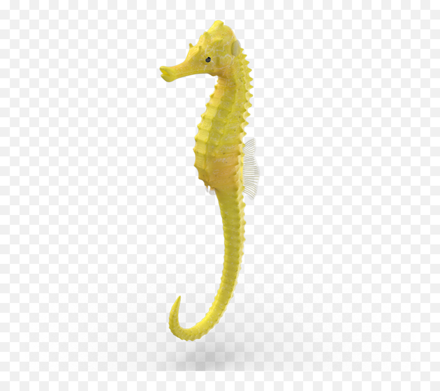 Yellow Seahorse - Decorative Emoji,Facebook Emoticons Seahorse