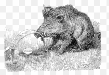 Mr - Wild Boar Emoji,Raw Emotion Hereford Boar