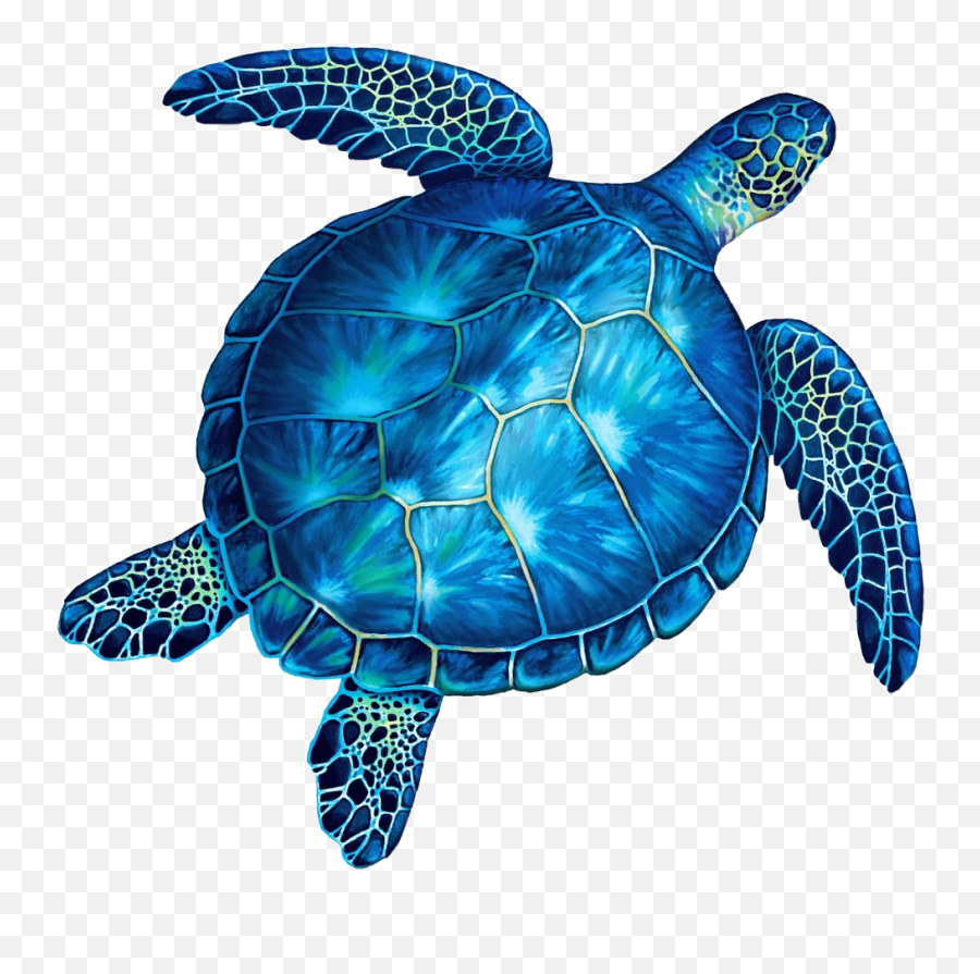 Trending - Turtle Blue Emoji,Sea Turtle Emoji