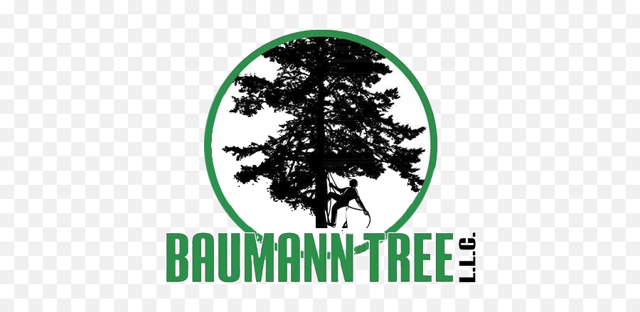 Tree Trimming Services Around St Louis And Kirkwood Mo Emoji,Emoticons About Tree Trimming