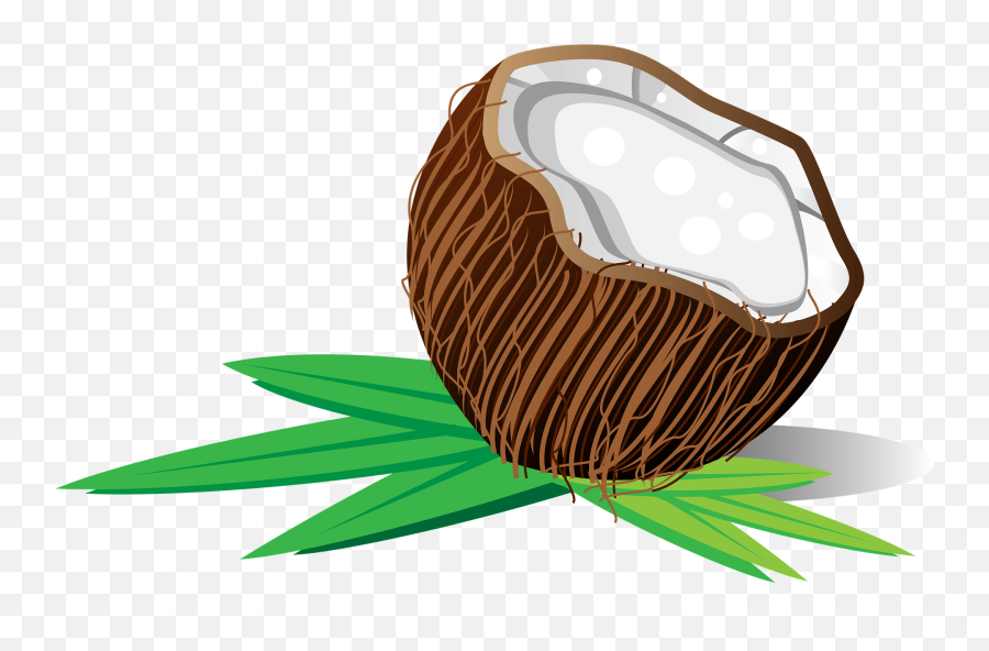 Coconut Clipart - Fresh Emoji,Palm Tree Drink Emoji