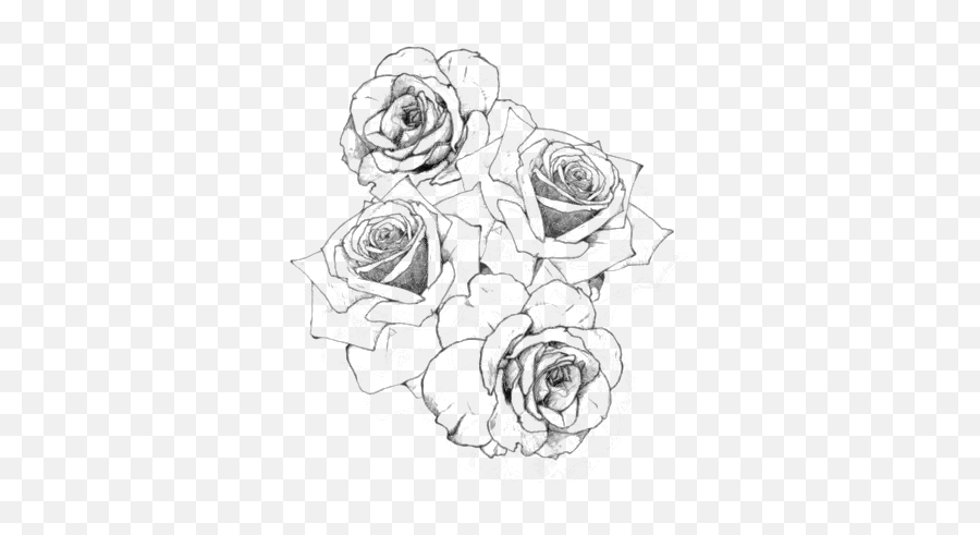 Download Tattoo Drawing Rose Png File - Roses Drawing Transparent Background Emoji,Rose Emoticon For Tatto