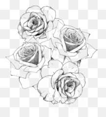 Download Tattoo Drawing Rose Png File - Roses Drawing Transparent Background Emoji,Rose Emoticon For Tatto