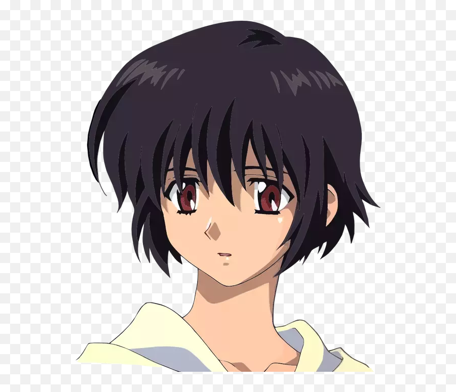 Are There Two Anime School Uniforms - Noir Anime Personajes Emoji,Anime Emotions Sweatdrop
