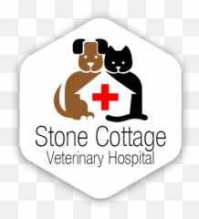 Senior Cat Care - Language Emoji,Cat Ears That Tell Your Emotions