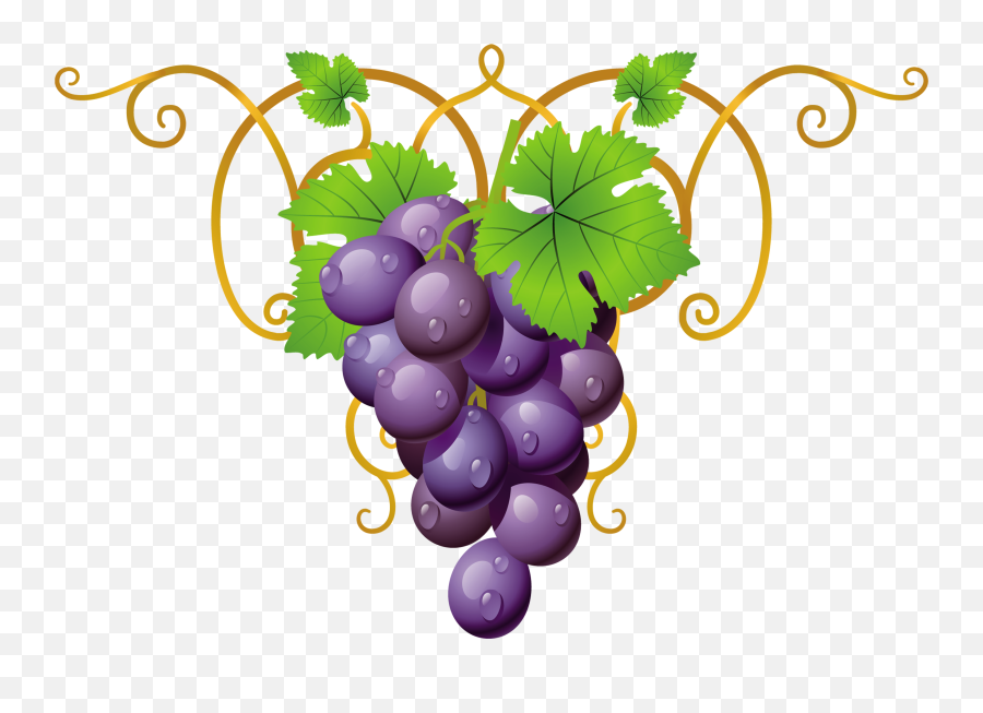 Grape Vector Images Clipart - Transparent Background Grape Vine Border Emoji,Grape Emoji