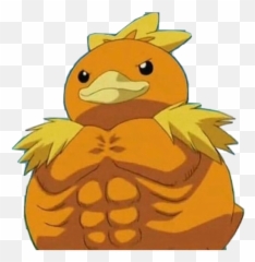Buff Torchic Pokemon Funny Memes - Buff Torchic Png Emoji,Buff Emoji