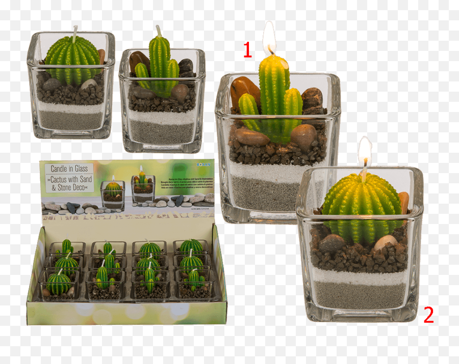 Roliga Prylar Alla Är Vi Barn Innerst Inne Det Finns Väl - 2 Bougies En Forme De Cactus Pots Décoratifs En Verre Emoji,Sweed Emojis