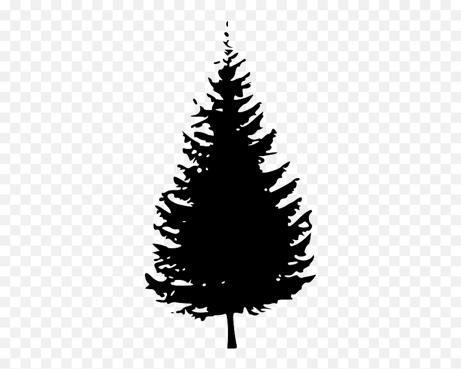 Light In A Dark Christmas - Pine Tree Silhouette Emoji,Joni Erickson Tada Emotions In The Face Of Suffering