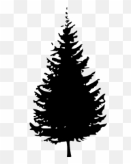 Light In A Dark Christmas - Pine Tree Silhouette Emoji,Joni Erickson Tada Emotions In The Face Of Suffering