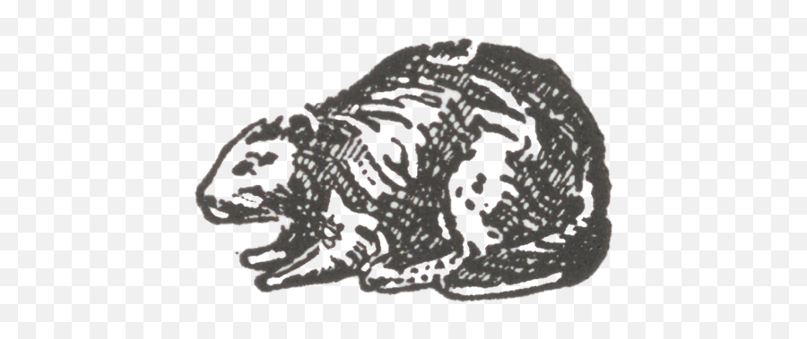 Beaver Press Mit History Department - Sketch Emoji,Gray Beaver Emoticons