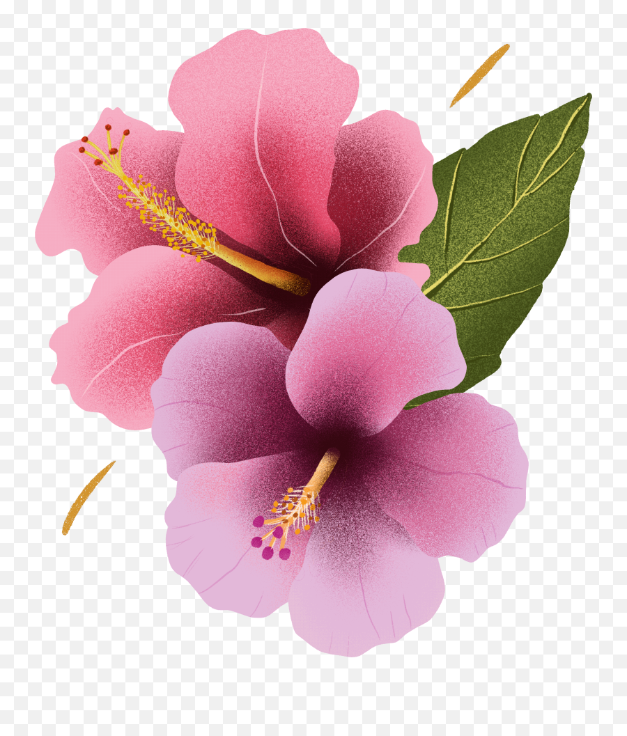 Tropical Flowers Sticker By Jenn - Giphy Flowers Emoji,Hawaiian Emoji App