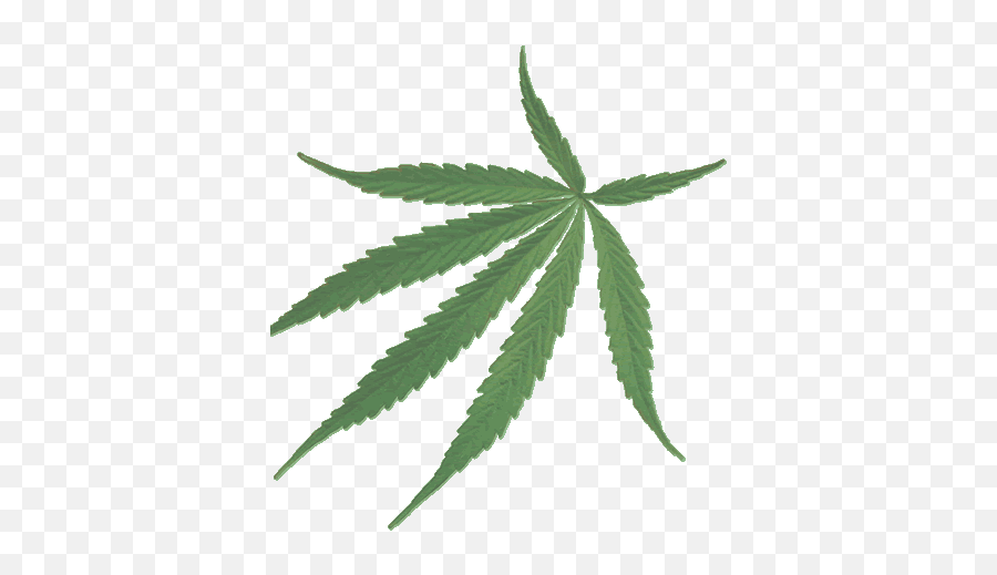 Hemp Know Your Meme Emoji,Weed People Icons Emojis