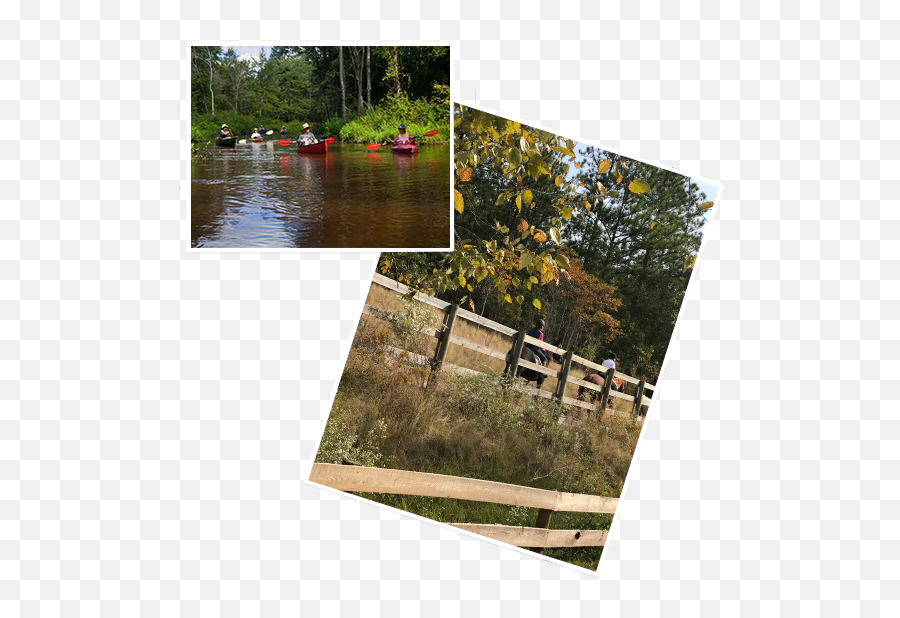 Aiken County Nature Trails Discover Aiken County Emoji,Nature& Emotions