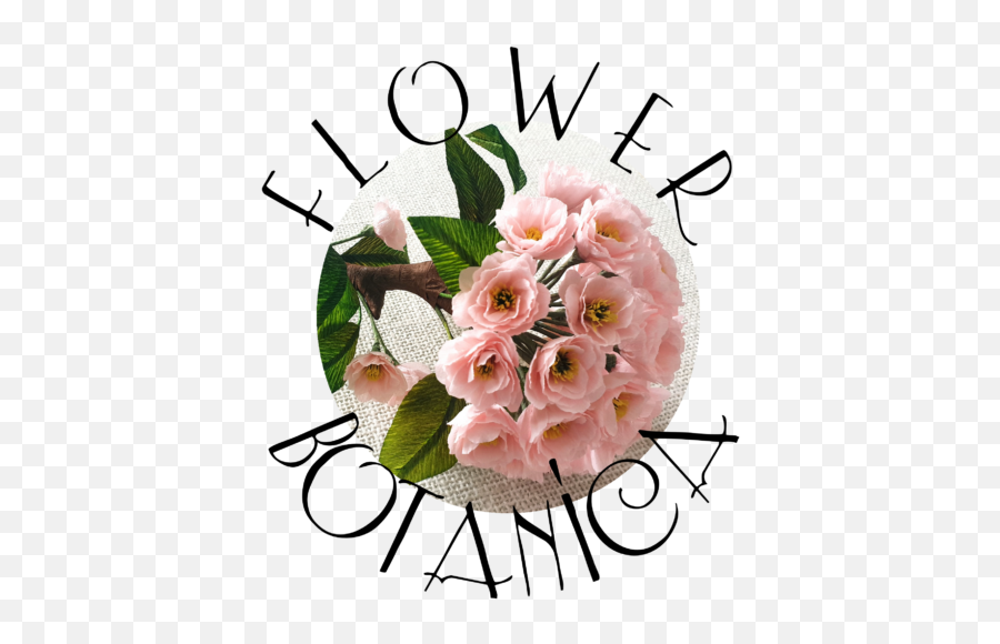 Home - Flower Botanica Emoji,Nissa/ Custom / Emotion / Premium / S / Sl Gas 2.0l Sedan L4 Home - Flower Botanica Emoji,Nissa/ Custom / Emotion / Premium / S / Sl Gas 2.0l Sedan L4