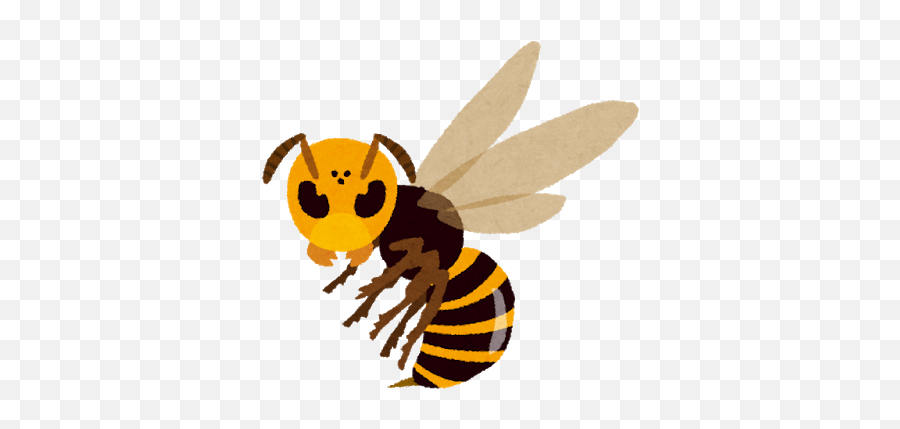 Basic Japanese Words U2013 Insects Bug Wayusoan Emoji,Wasp Emoji