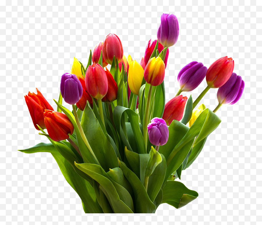 Tulip Bouquet - Easter Flowers Png Emoji,Boquet Emoji