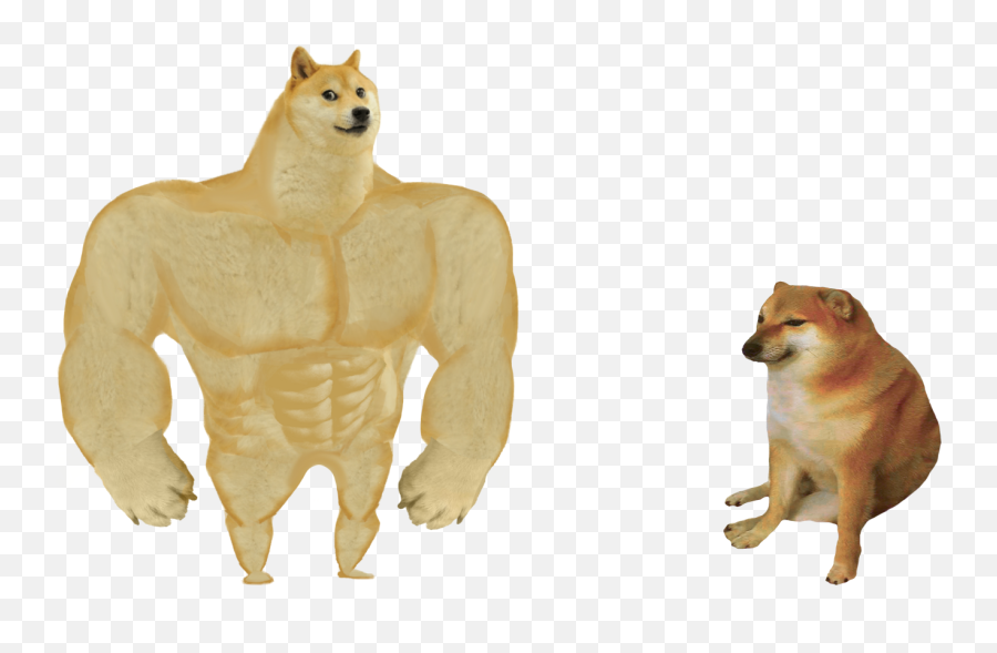 Swole Doge Vs Cheems Template Memetemplatesofficial - Swole Doge Vs Cheems Png Emoji,Doge Emoji