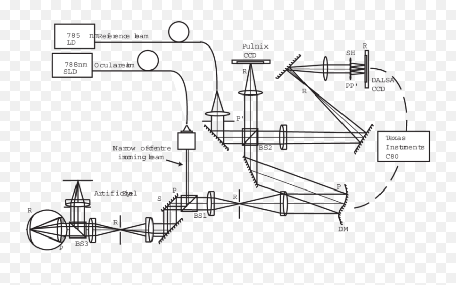 Schematic Diagram Of The Optical Setup Download - Vertical Emoji,Design Shack Science Between Color And Emotion