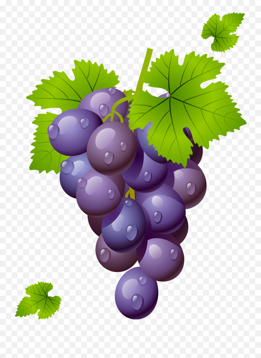 Grapes Grape Clipart Grapeclipart Fruit - Grapes Clipart Png Emoji,Grape Emoji