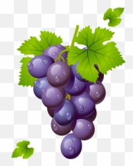 Grapes Grape Clipart Grapeclipart Fruit - Grapes Clipart Png Emoji,Grape Emoji